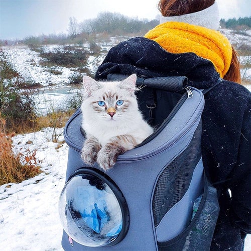 Pet backpack with window hotsell